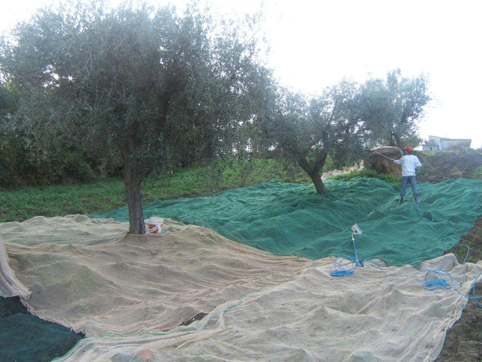 Campli Agriturismo Il Vecchio Carro מראה חיצוני תמונה