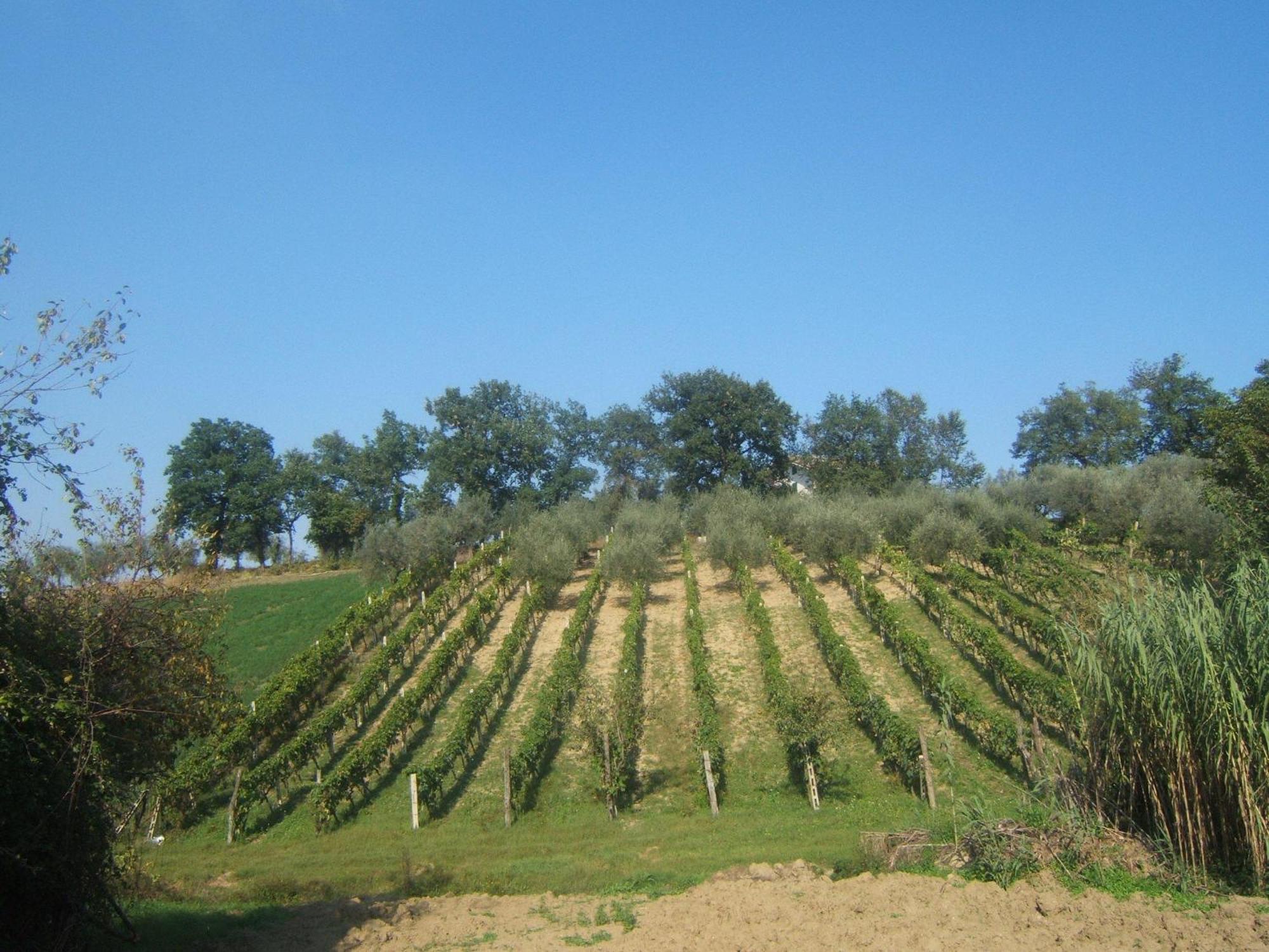 Campli Agriturismo Il Vecchio Carro מראה חיצוני תמונה